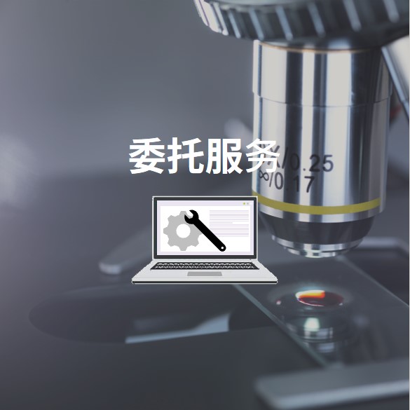 委托服务